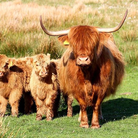 Drumbuie Farm B&B Drumnadrochit Eksteriør billede