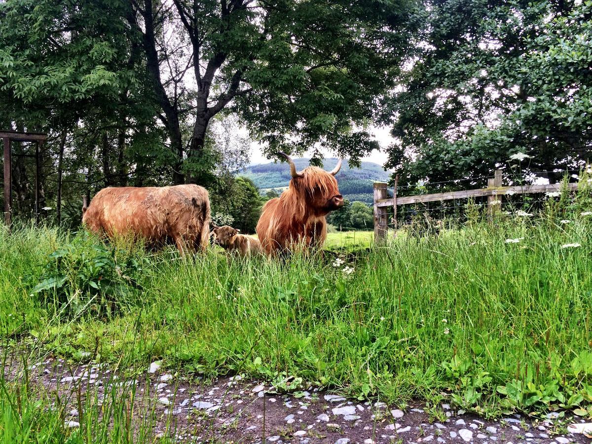 Drumbuie Farm B&B Drumnadrochit Eksteriør billede