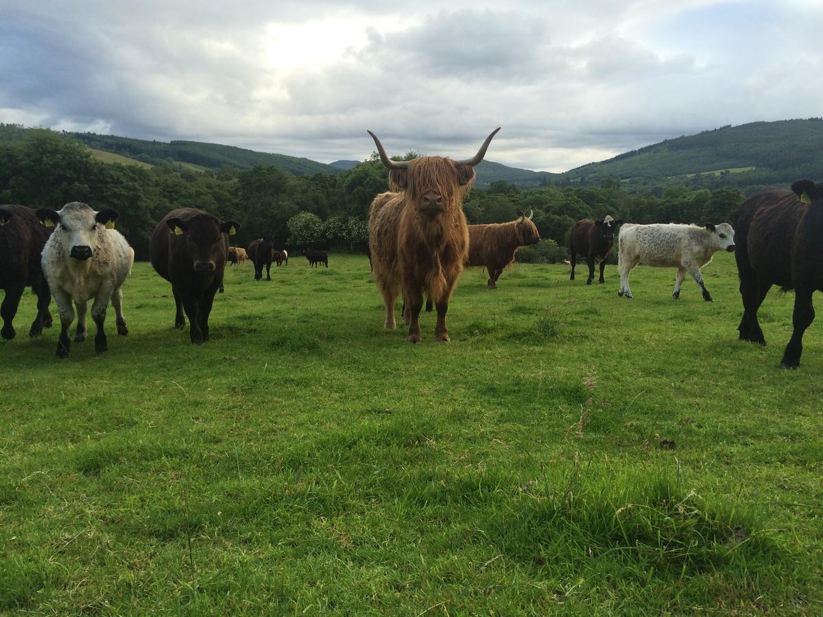 Drumbuie Farm B&B Drumnadrochit Eksteriør billede